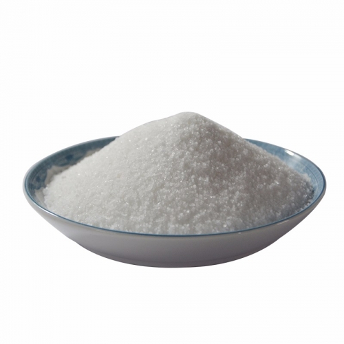 麻豆AV在线播放